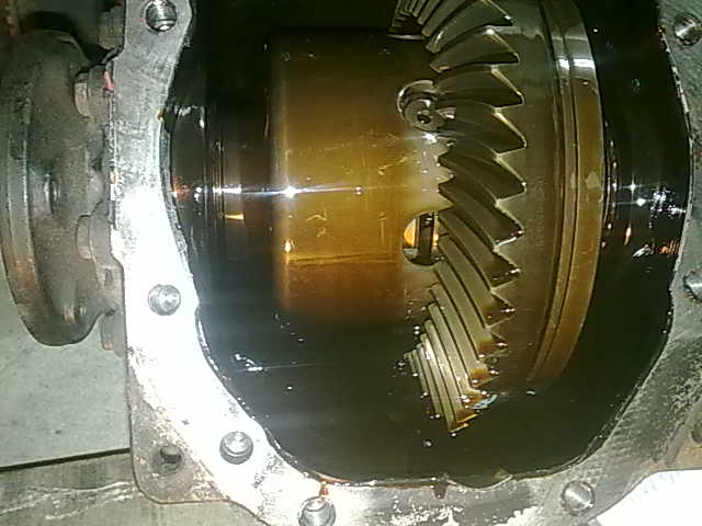 24042010463.jpg