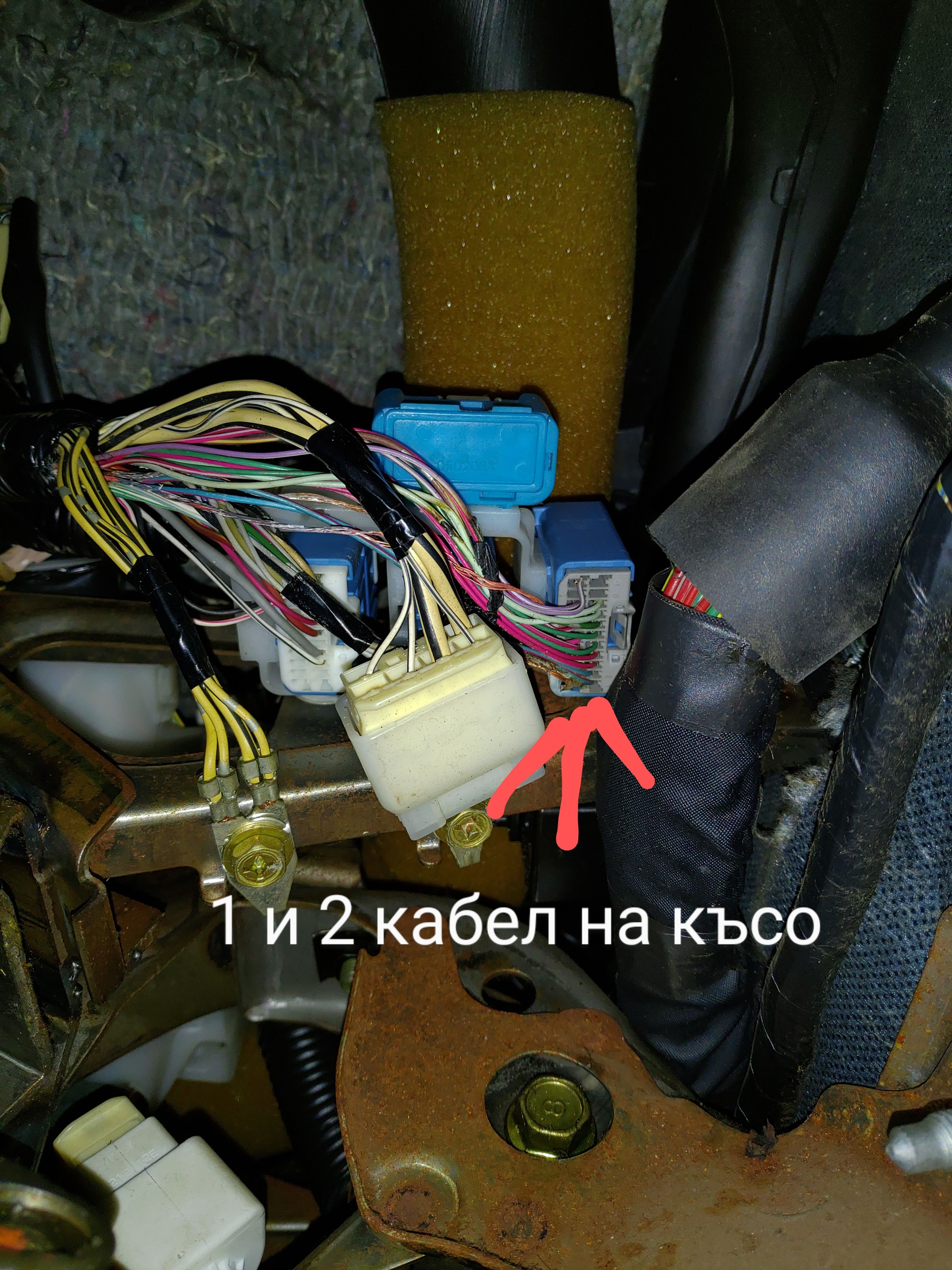 P_20200310_165432~2.jpg