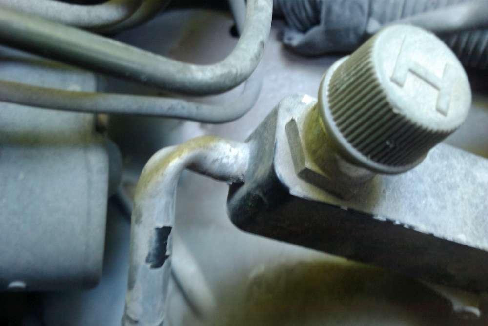 IMAG0081.jpg