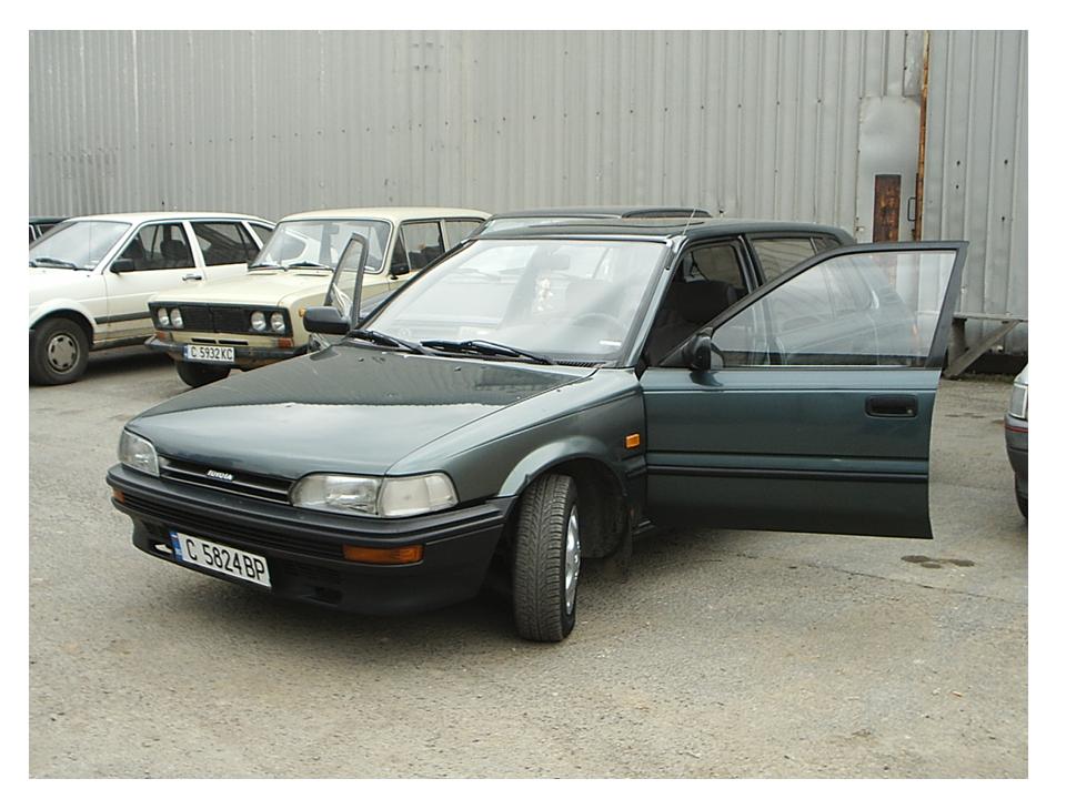 ToyoCoro1.jpg