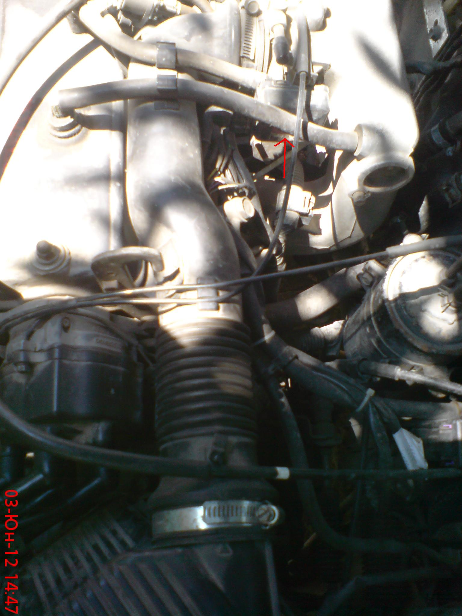 DSC03814.JPG