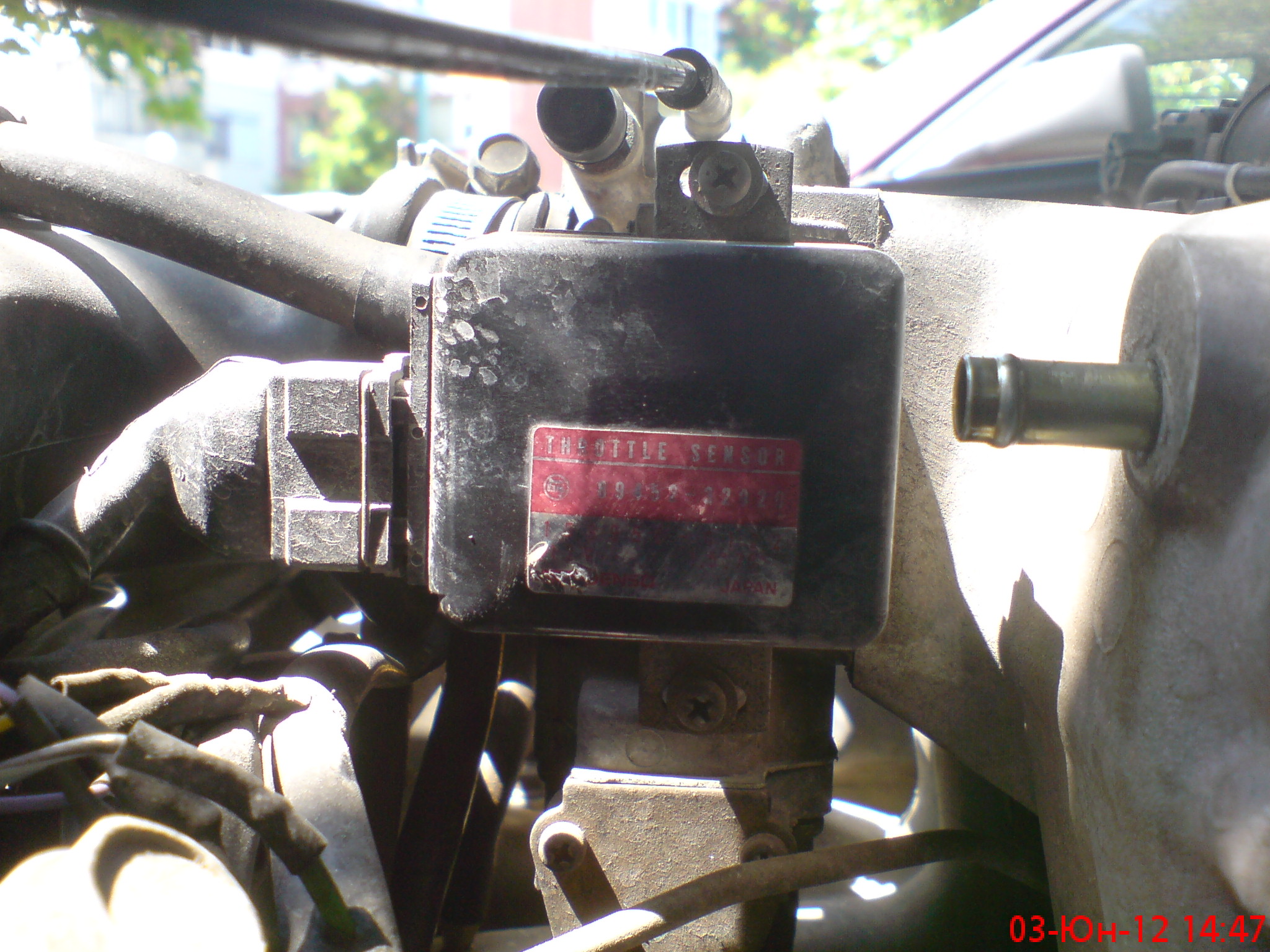 DSC03815.JPG
