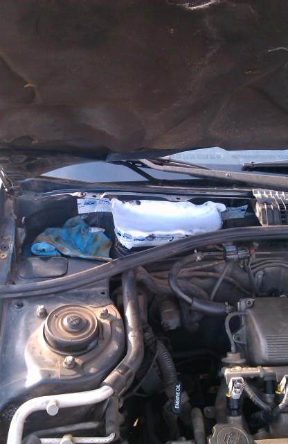 IMAG0417.jpg