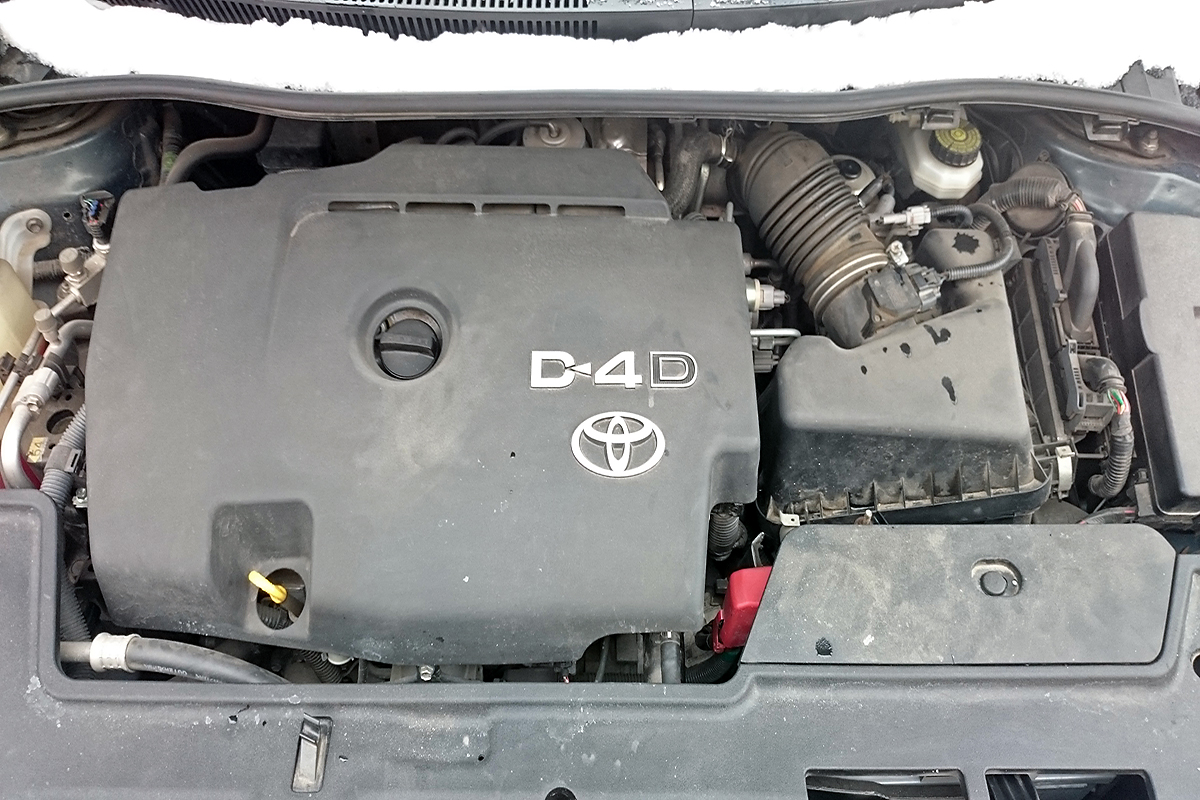 DSC_4993.JPG