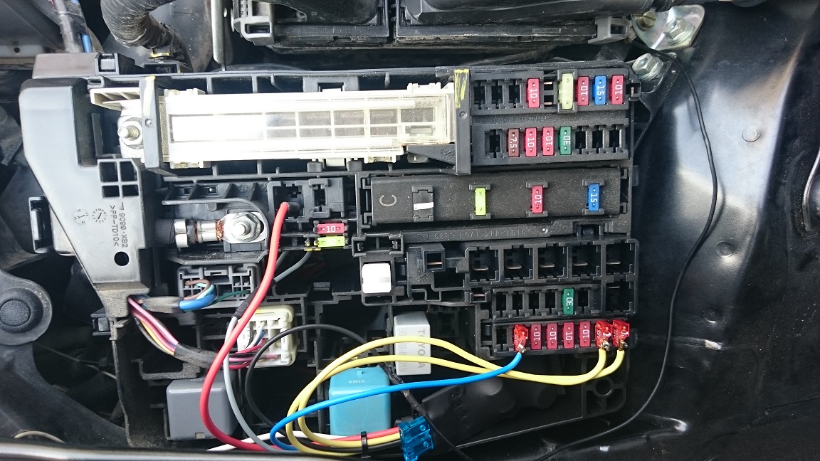 drl1.jpg