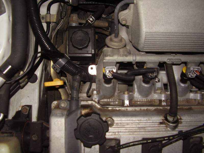 P7160088sm.JPG