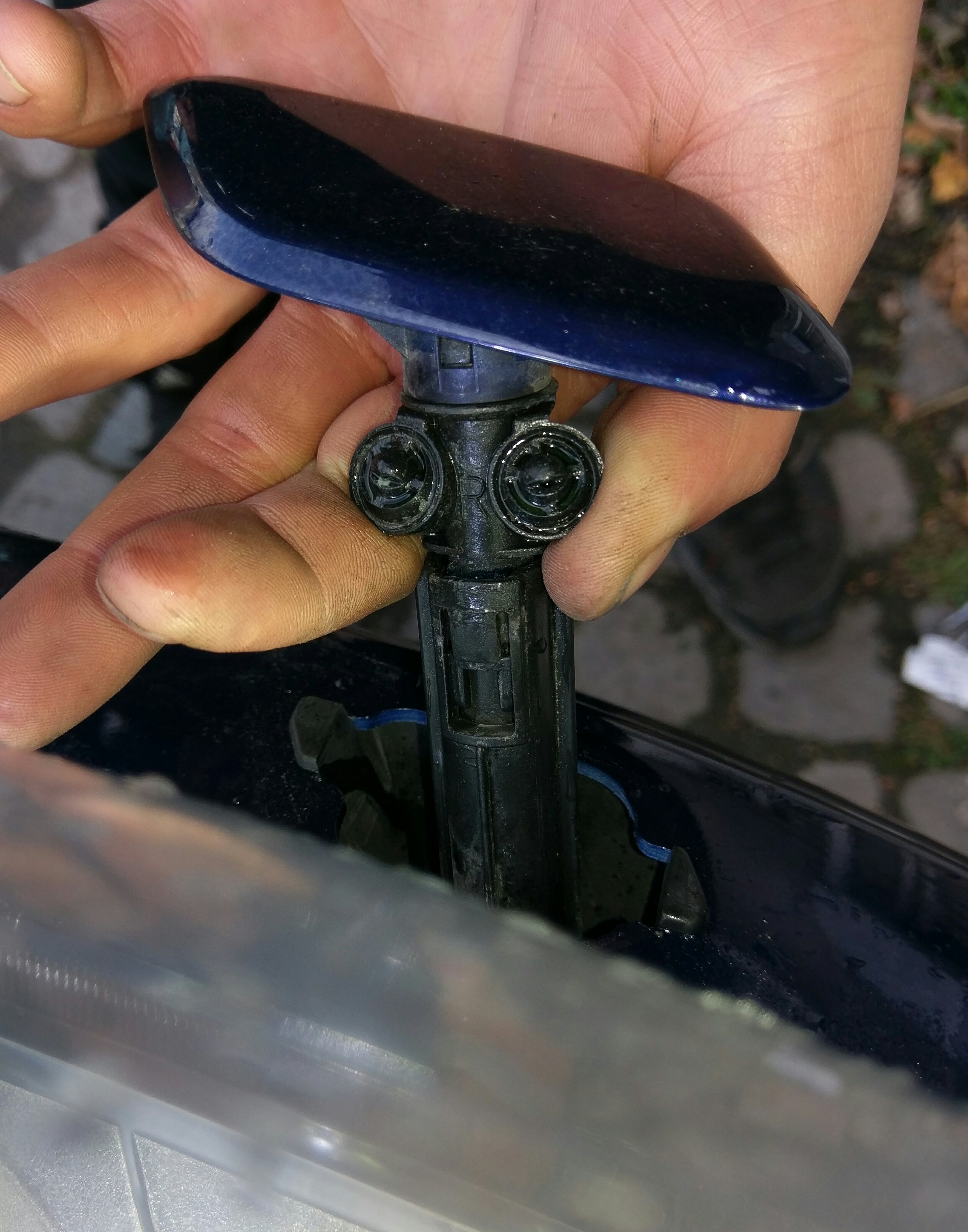 IMAG1386_1.jpg