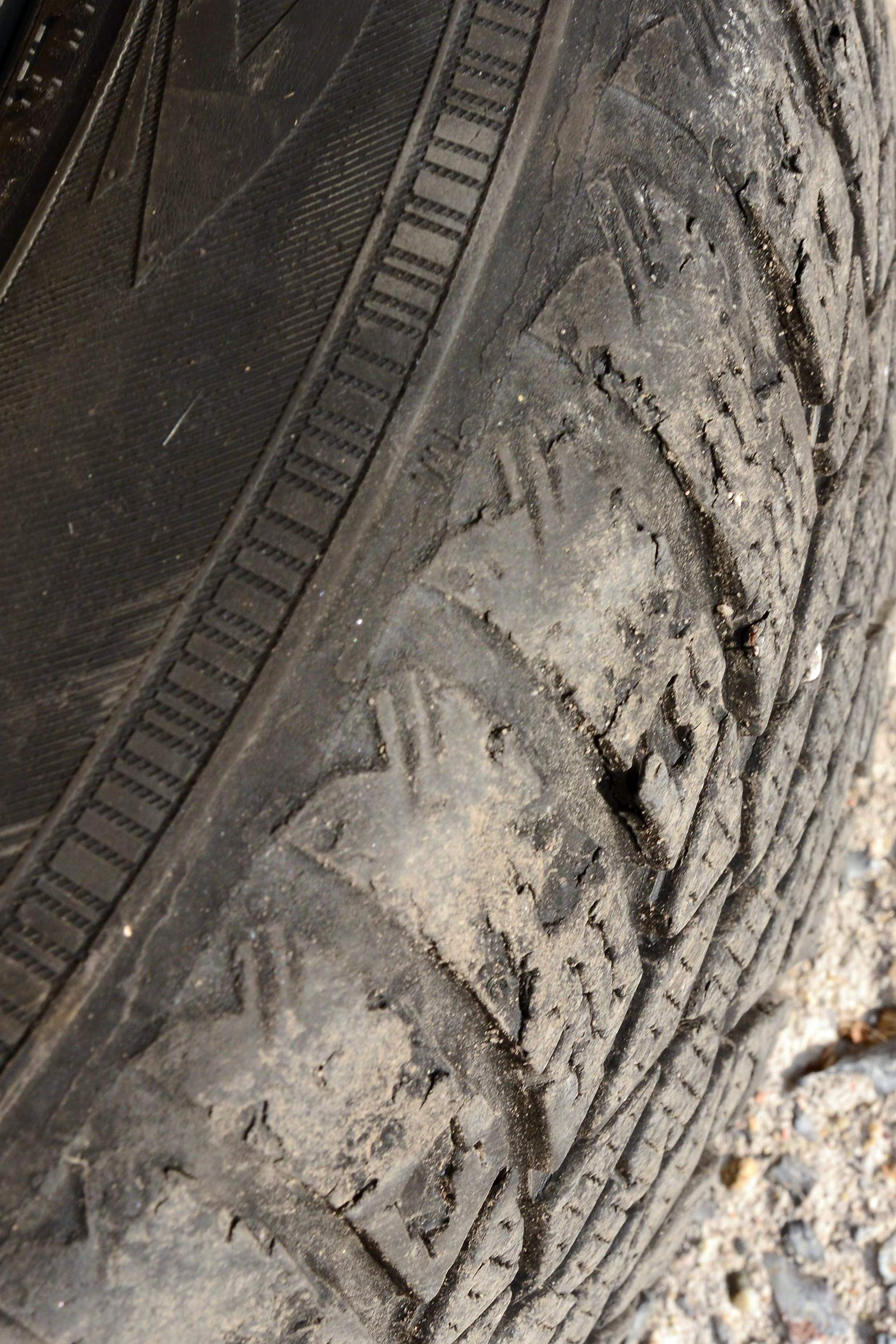 205/55R16 91H  Nokian WR D4 - грайфери