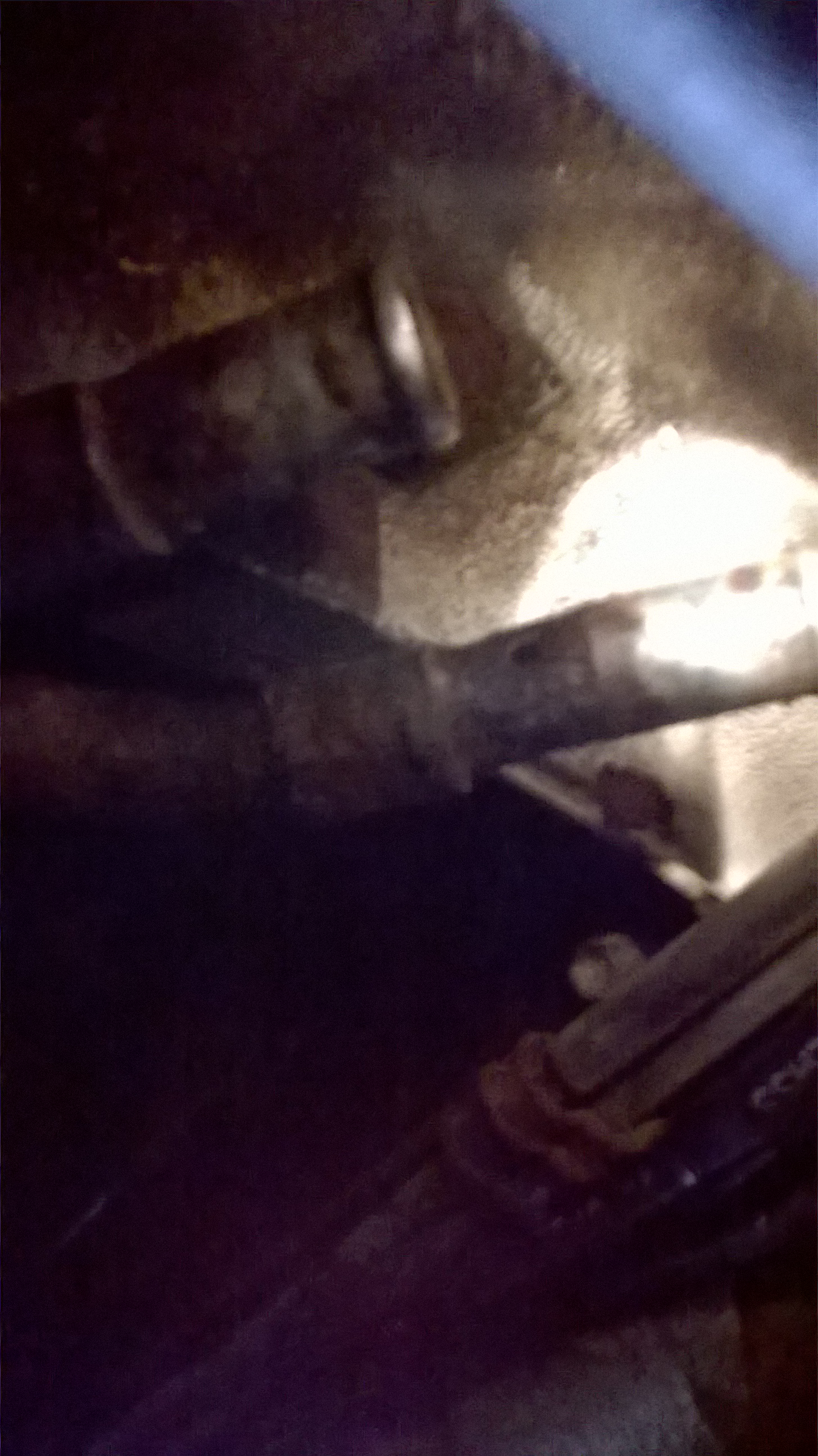 My pipes 2.jpg