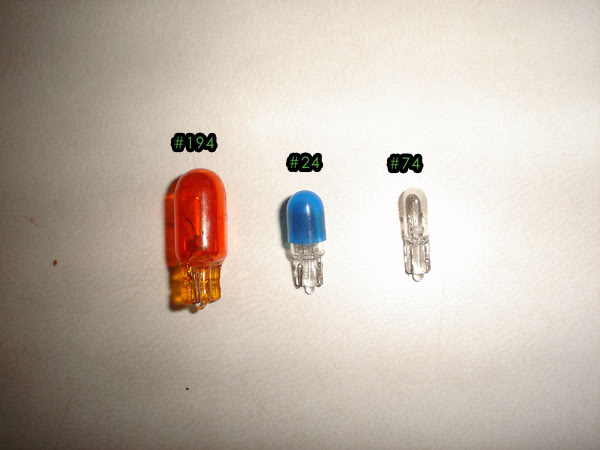 bulbs-1.jpg