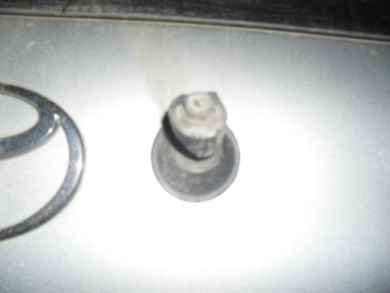SDC10546.JPG